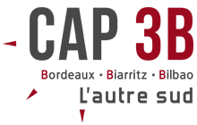 Cap 3B